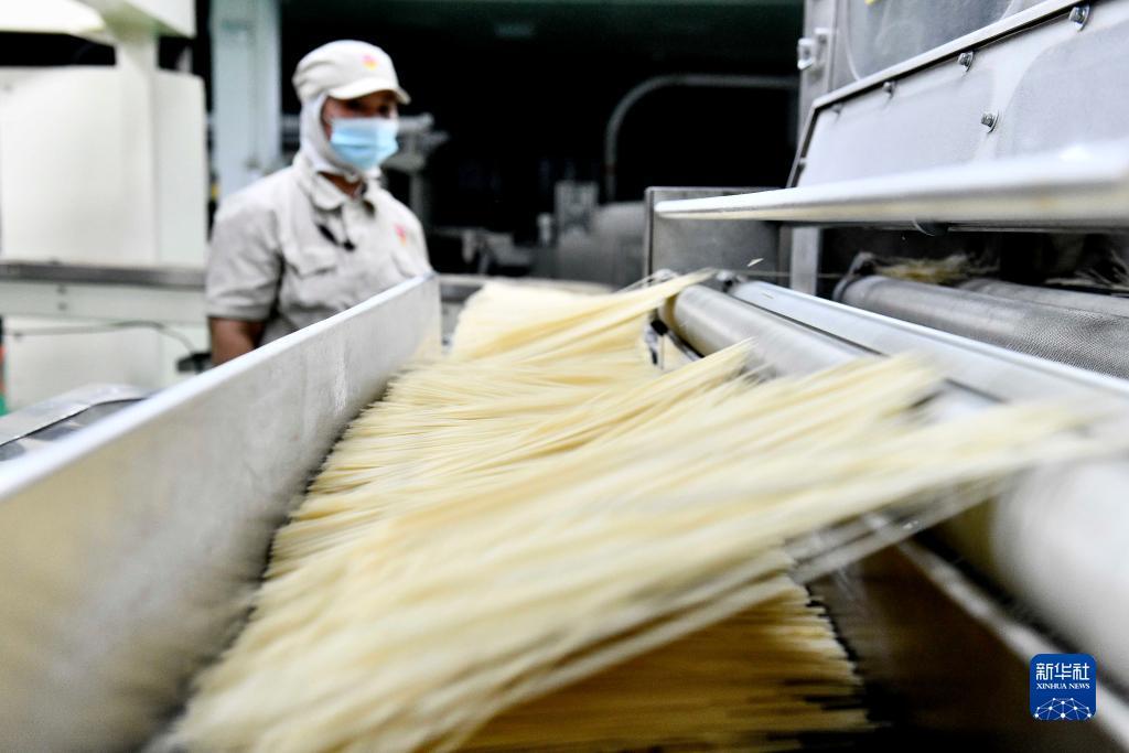 电子注册送礼金